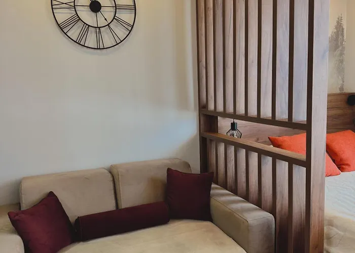 Evergreen Lux アパート コパオニク