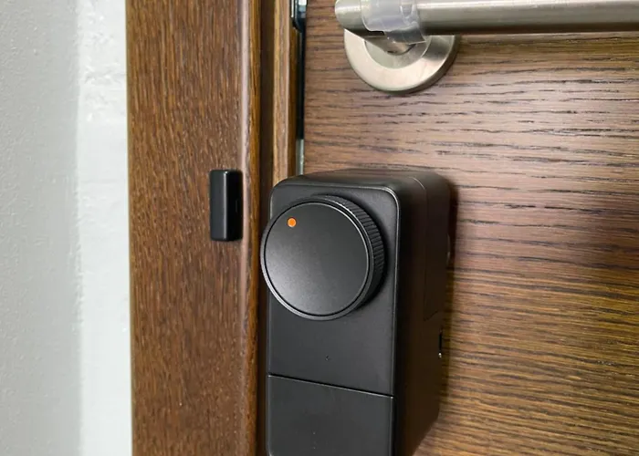 Evergreen Lux コパオニク