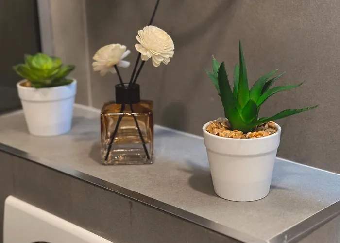 Evergreen Lux コパオニク