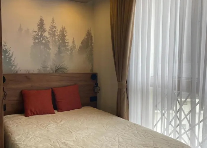 Evergreen Lux アパート *